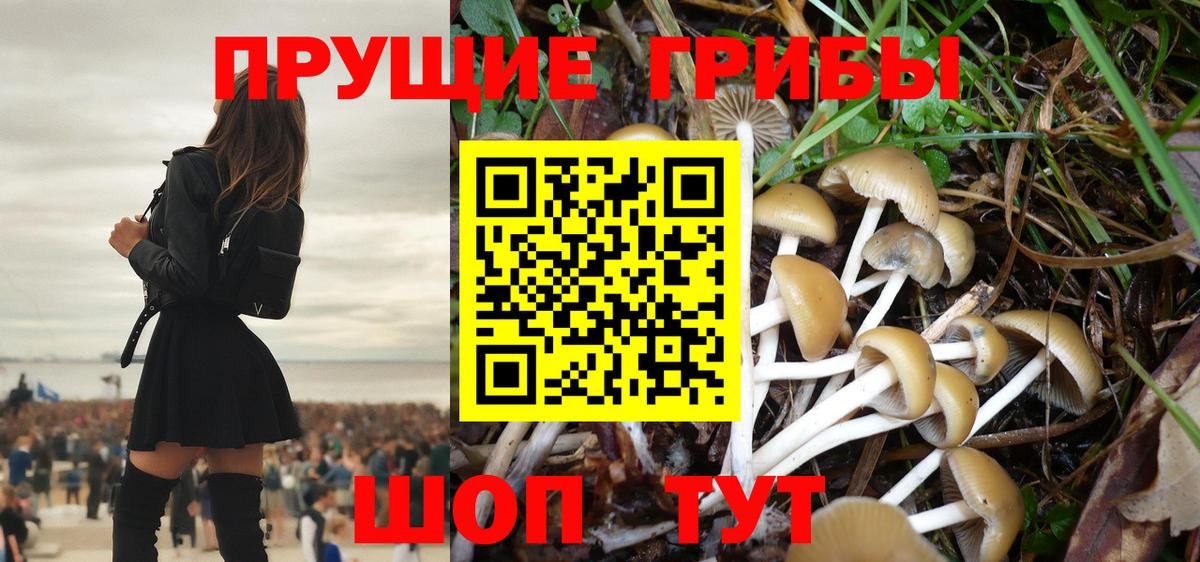 Нововоронеж  Псилоцибиновые грибы Psilocybine cubensis  наркота  Вход с VPN 