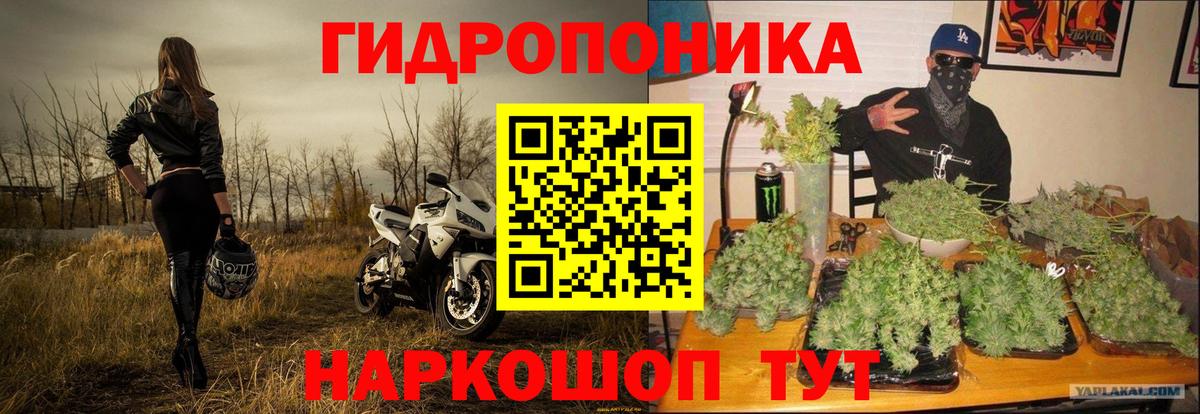 Каннабис индика Нововоронеж